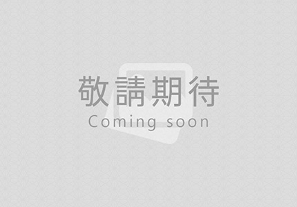 一對二分離式冷氣機(價格僅供公家單位、國營事業)